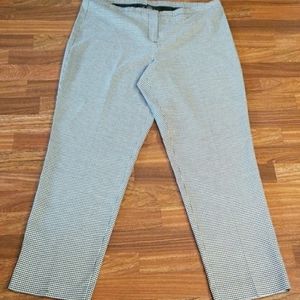 Lane Bryant dress pants